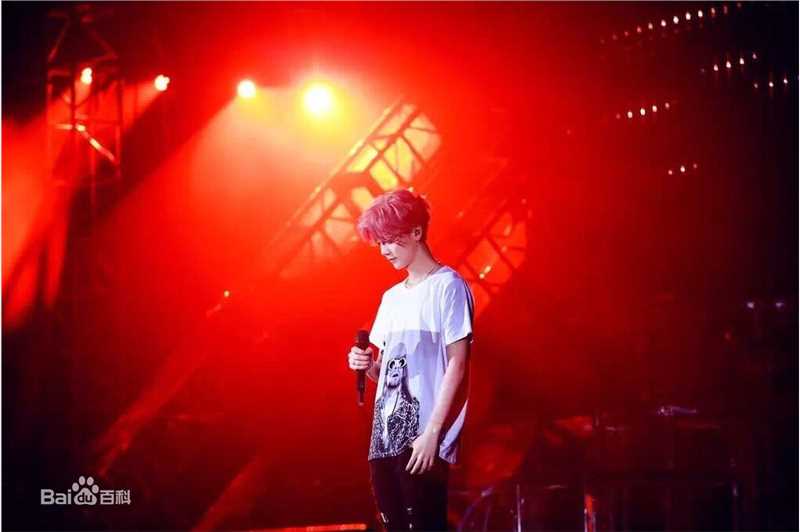 鹿晗(LUHAN)2016巡回演唱会素颜照壁纸
