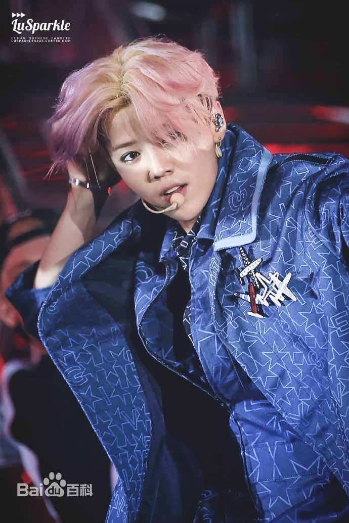 鹿晗(LUHAN)2016巡回演唱会素颜照壁纸