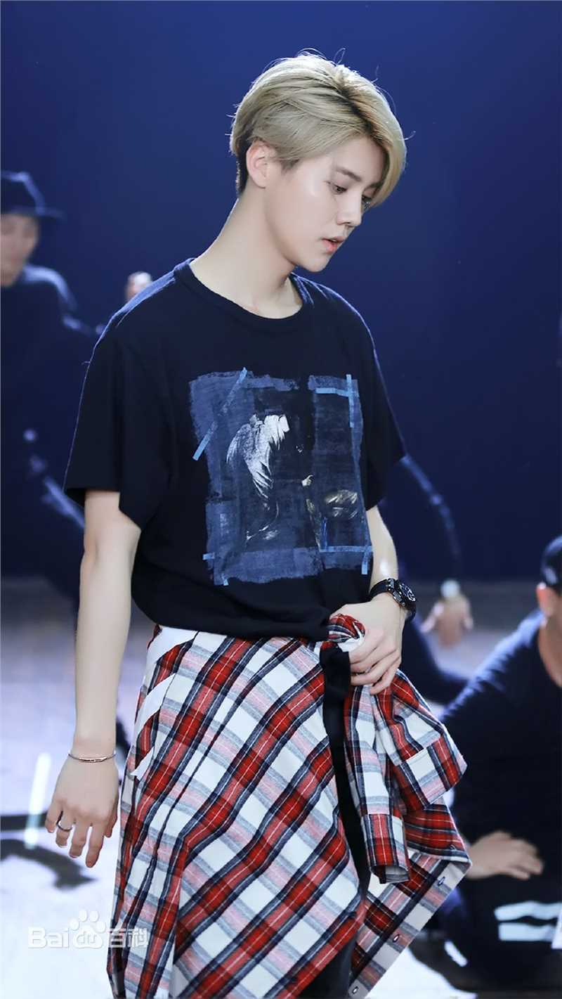 鹿晗(LUHAN)2016巡回演唱会素颜照壁纸