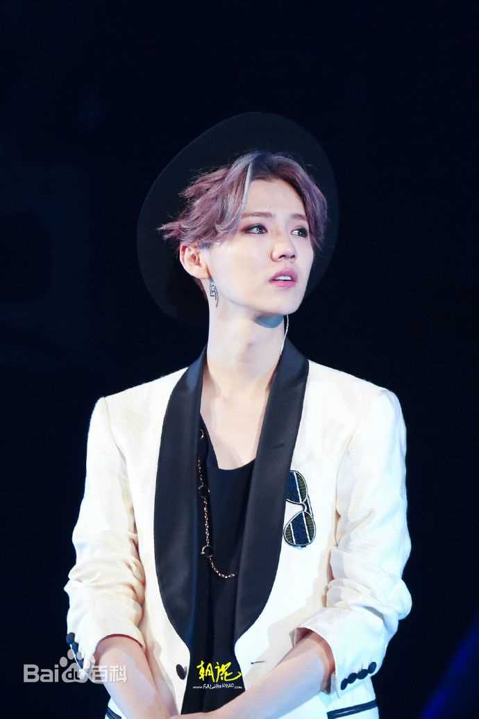 鹿晗(LUHAN)2016巡回演唱会素颜照壁纸