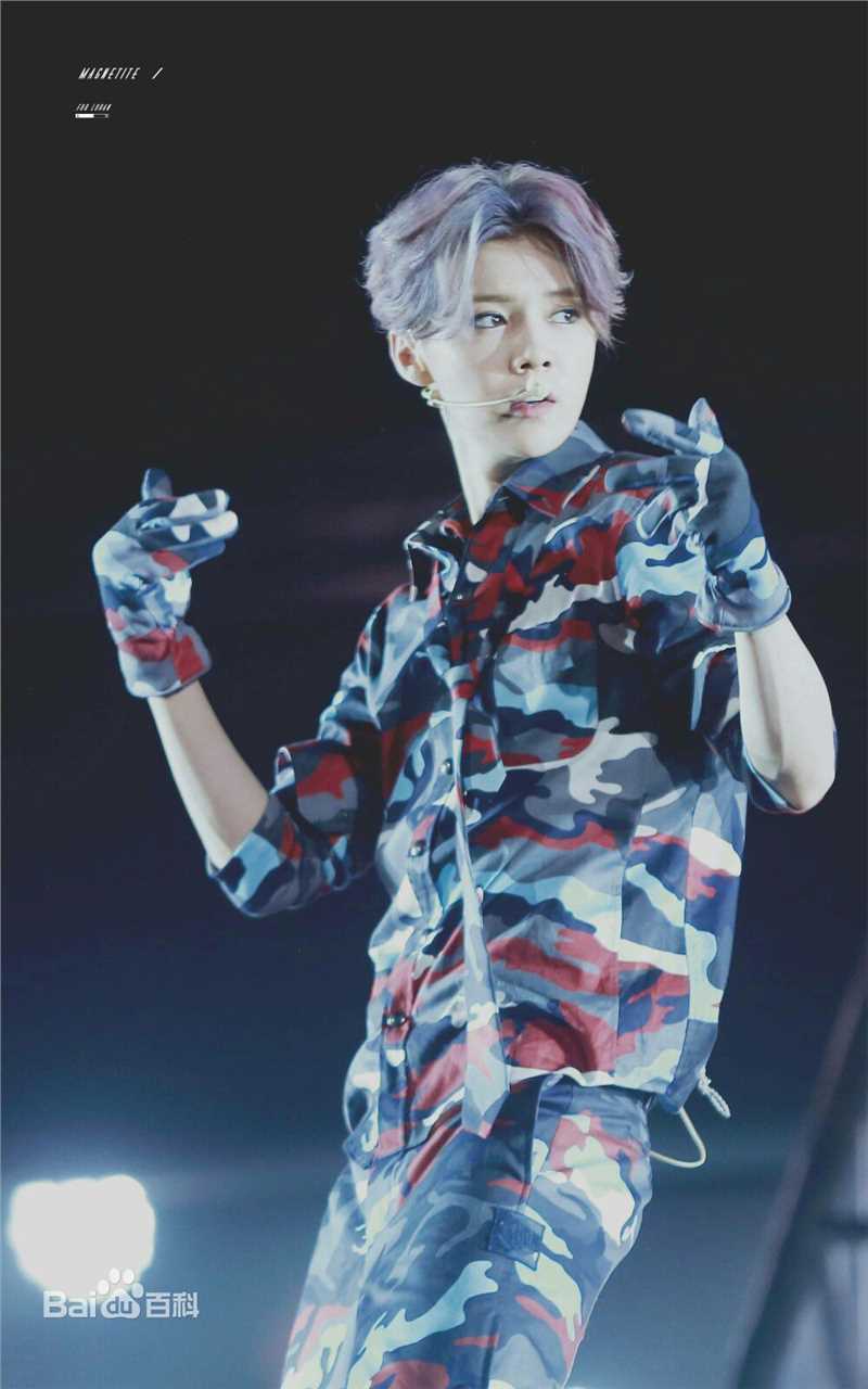 鹿晗(LUHAN)2016巡回演唱会素颜照壁纸