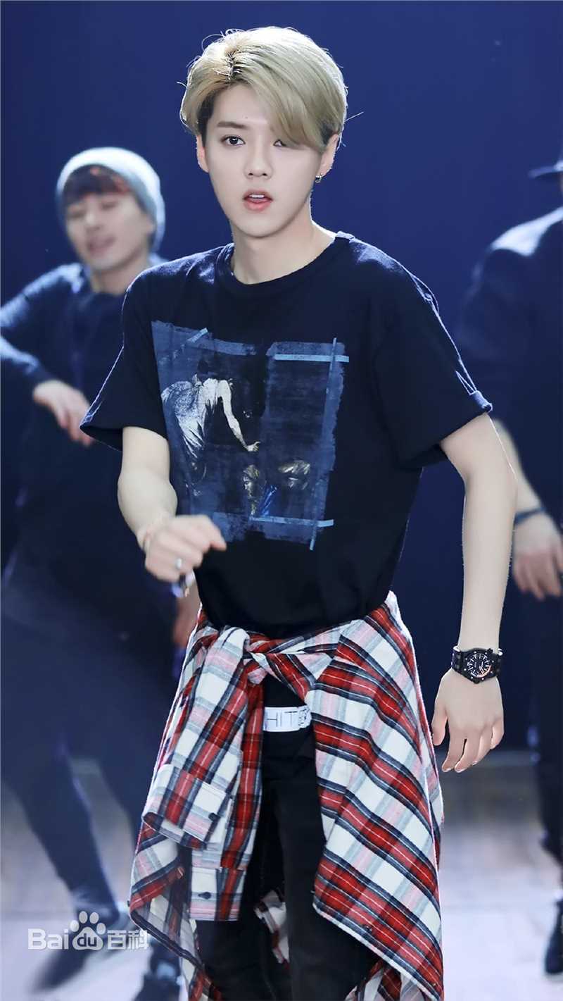 鹿晗(LUHAN)2016巡回演唱会素颜照壁纸