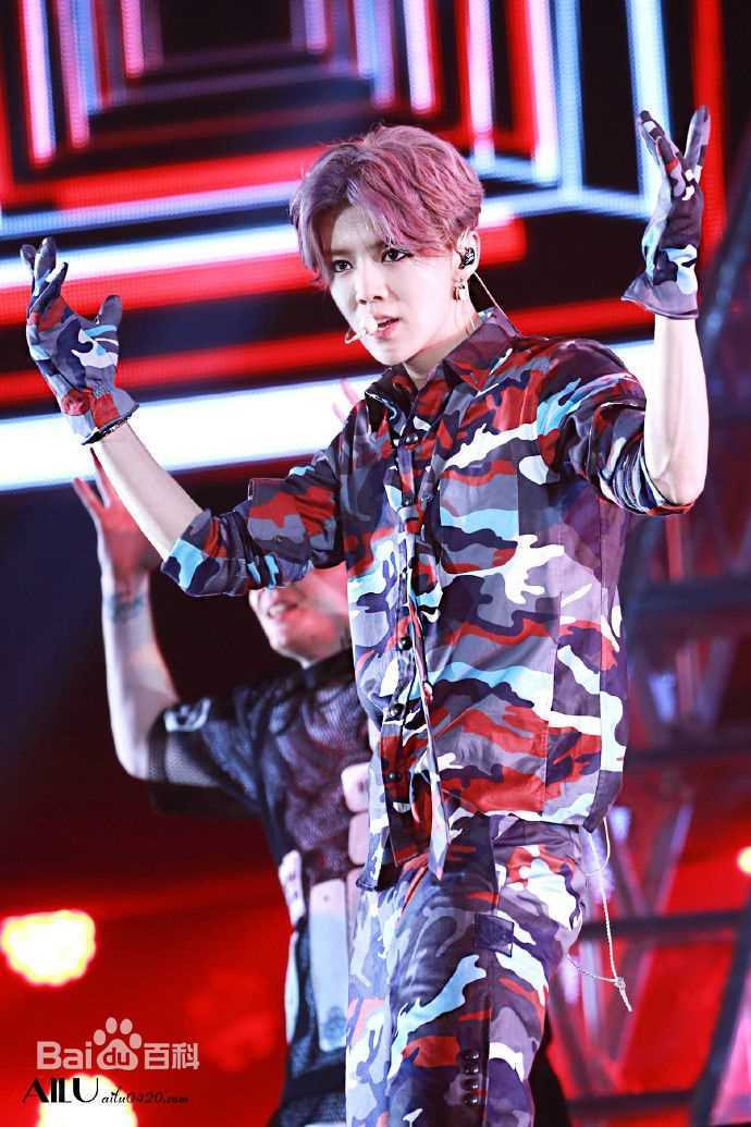 鹿晗(LUHAN)2016巡回演唱会素颜照壁纸