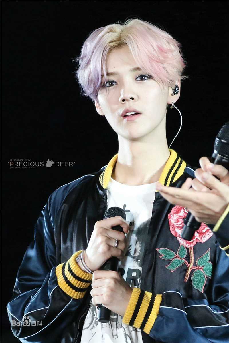 鹿晗(LUHAN)2016巡回演唱会素颜照壁纸