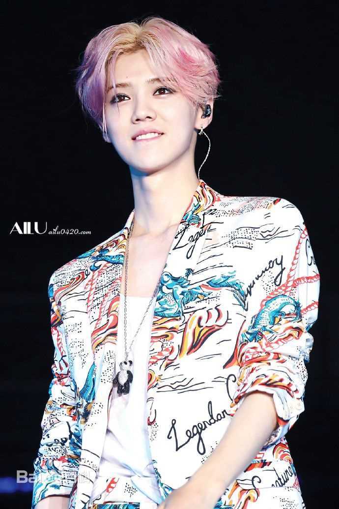 鹿晗(LUHAN)2016巡回演唱会素颜照壁纸