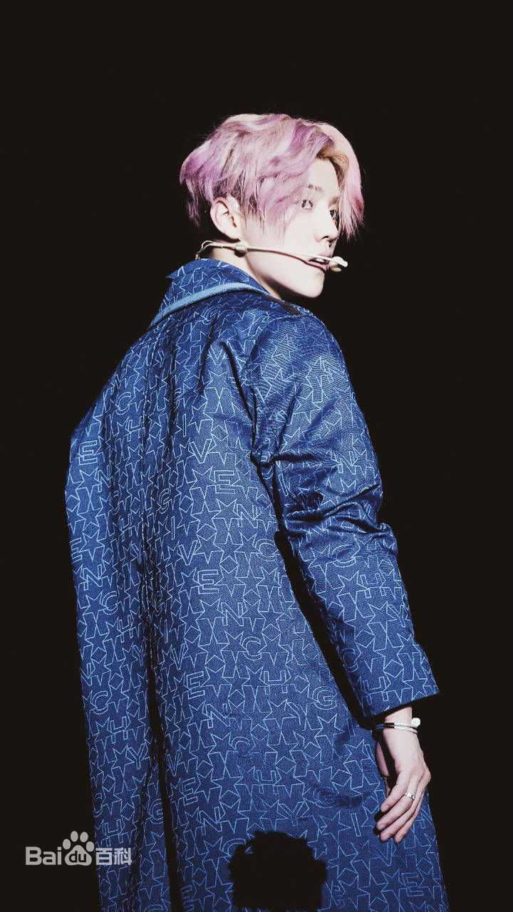 鹿晗(LUHAN)2016巡回演唱会素颜照壁纸