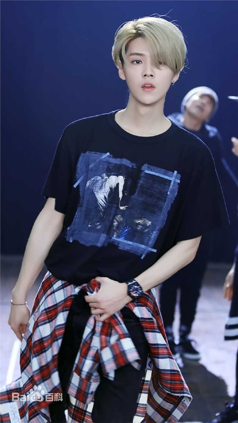 鹿晗(LUHAN)2016巡回演唱会素颜照壁纸