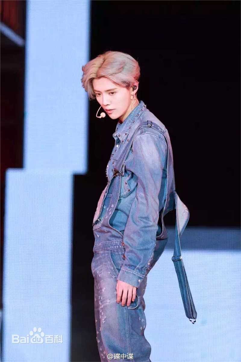 鹿晗(LUHAN)2016巡回演唱会素颜照壁纸