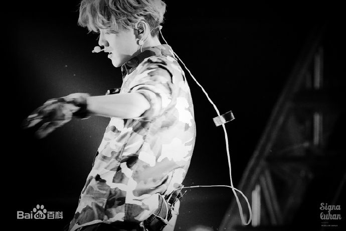 鹿晗(LUHAN)2016巡回演唱会素颜照壁纸