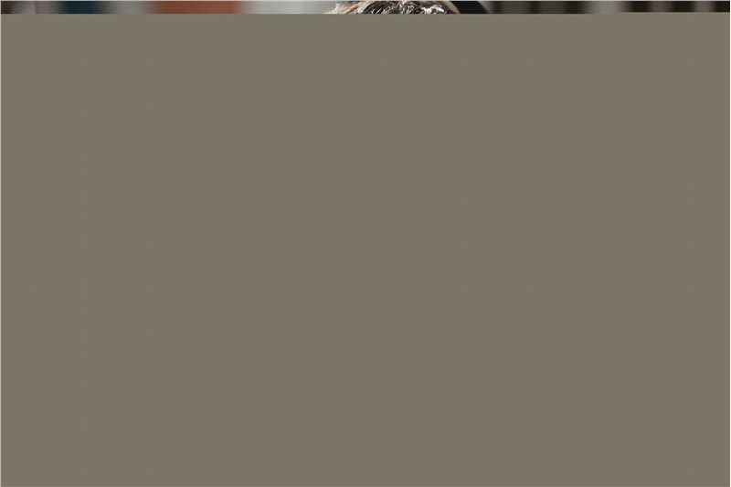 高清鹿晗(LUHAN)在《择天记》陈长生中的图集