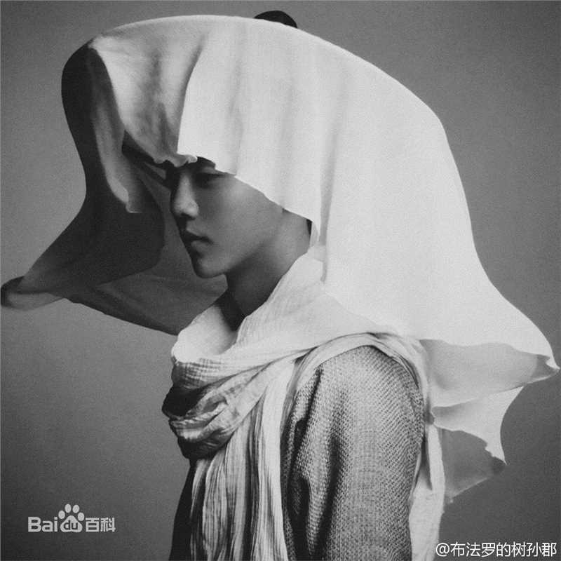 高清鹿晗(LUHAN)在《择天记》陈长生中的图集