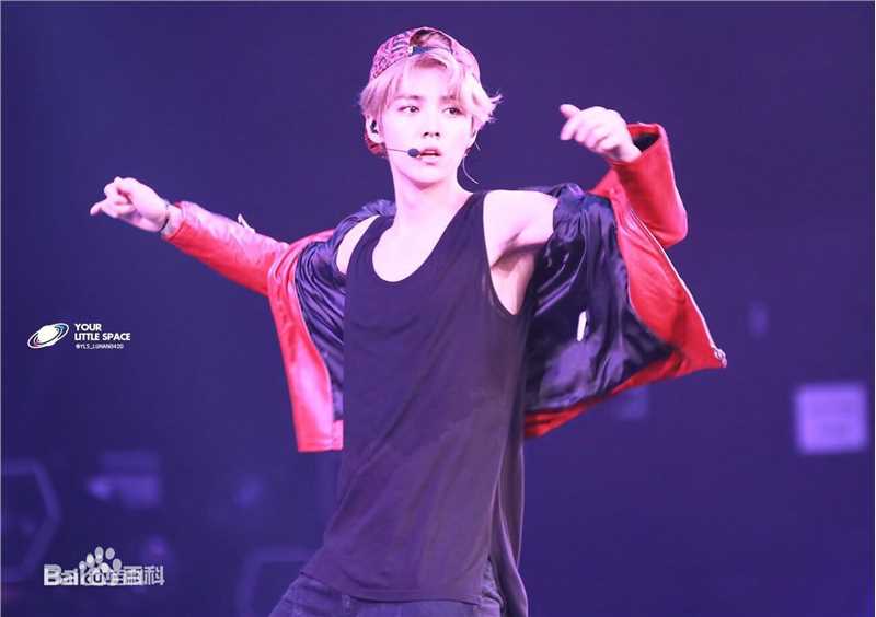 鹿晗(LUHAN)组合时期 主唱领舞图册