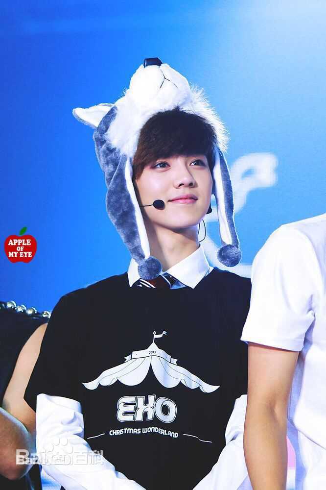 鹿晗(LUHAN)组合时期 主唱领舞图册