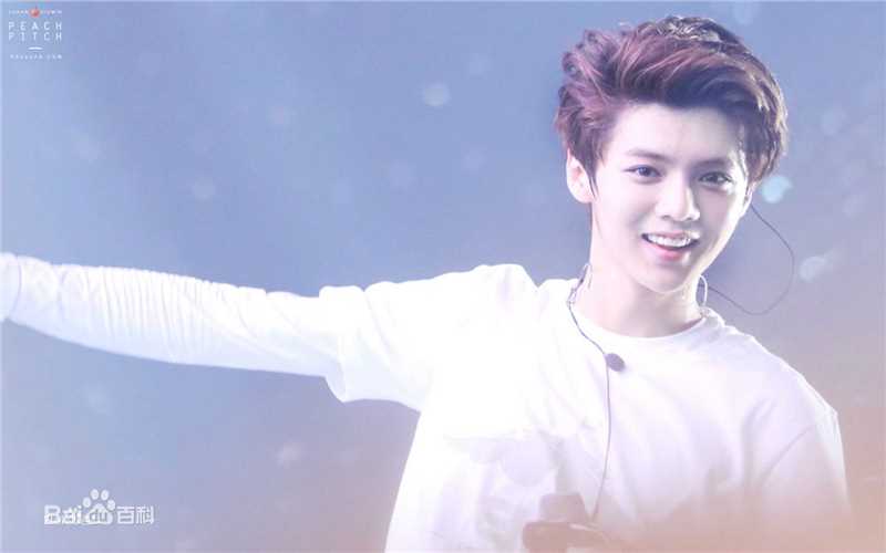 鹿晗(LUHAN)组合时期 主唱领舞图册