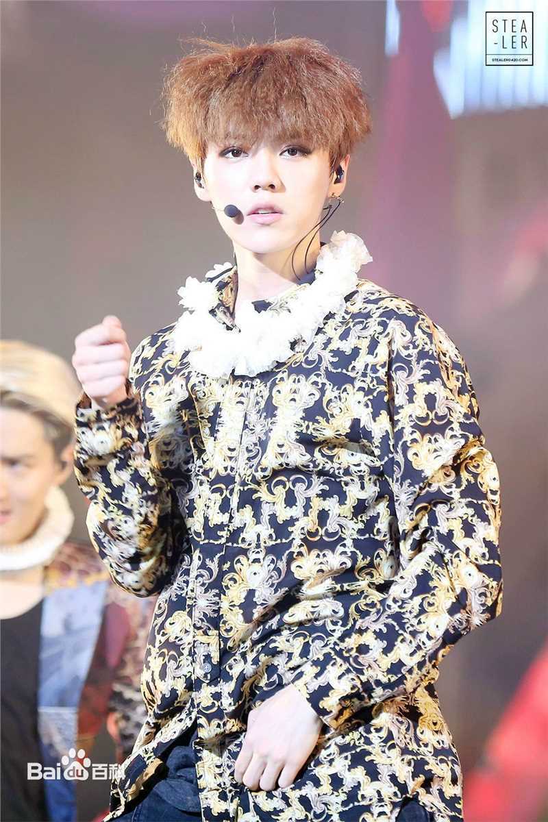 鹿晗(LUHAN)组合时期 主唱领舞图册