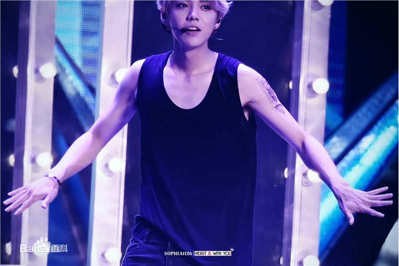 鹿晗(LUHAN)组合时期 主唱领舞图册