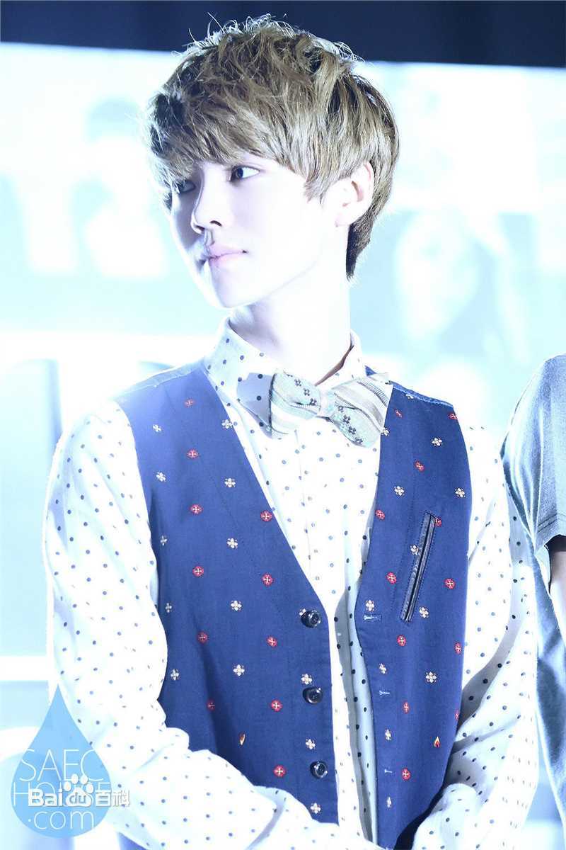 鹿晗(LUHAN)组合时期 主唱领舞图册