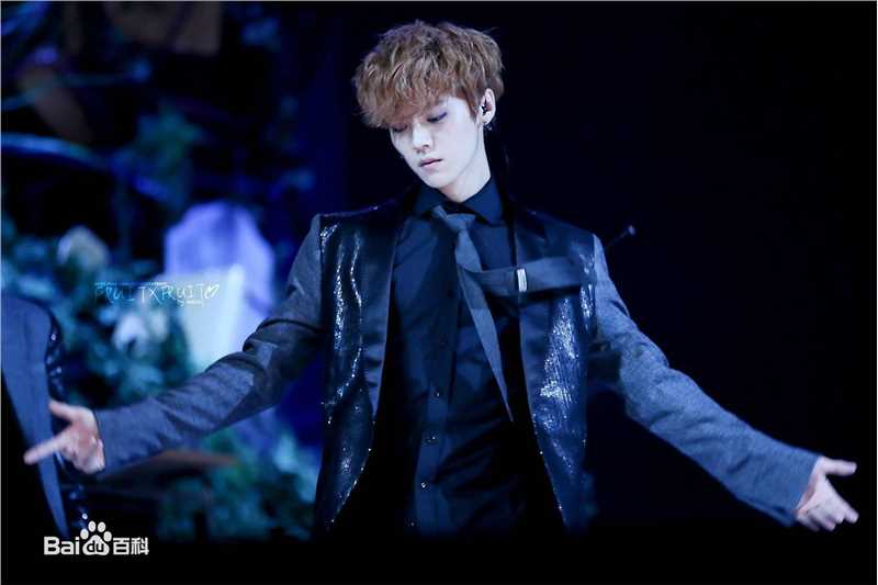 鹿晗(LUHAN)组合时期 主唱领舞图册