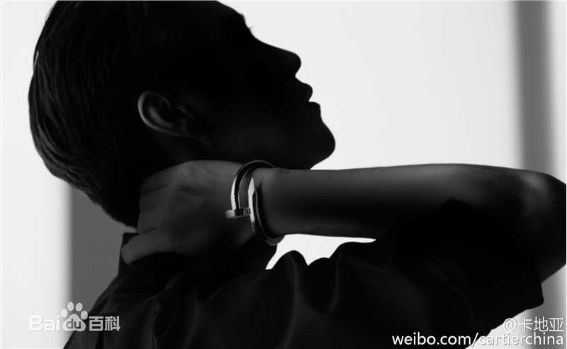 鹿晗(LUHAN) X Cartier 时尚大片素颜照相册
