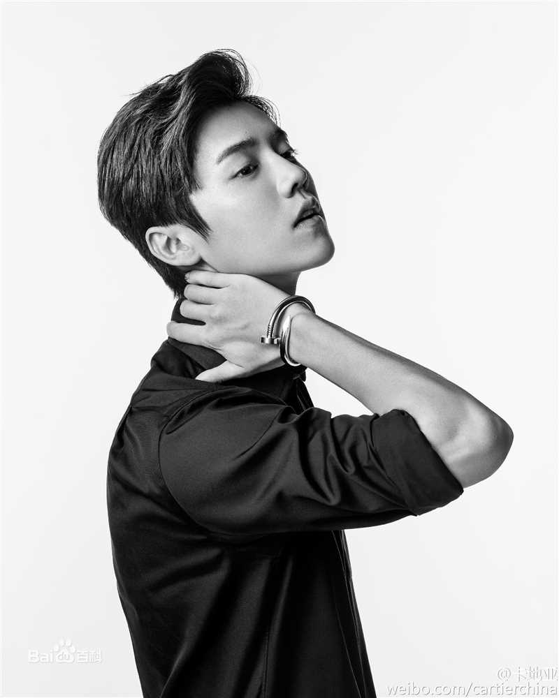 鹿晗(LUHAN) X Cartier 时尚大片素颜照相册