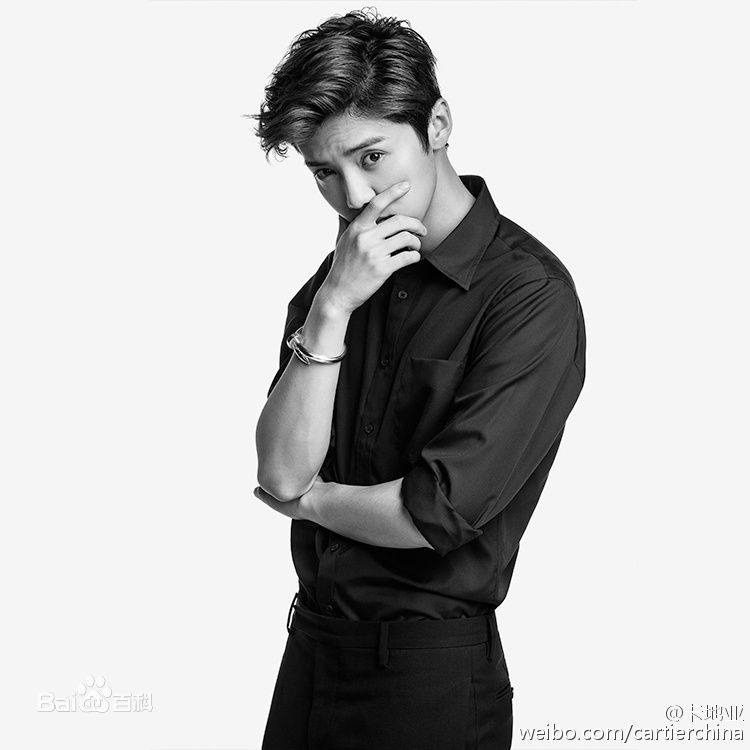 鹿晗(LUHAN) X Cartier 时尚大片素颜照相册