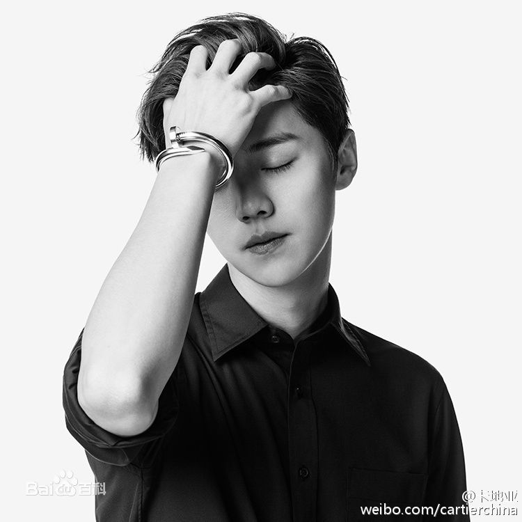 鹿晗(LUHAN) X Cartier 时尚大片素颜照相册