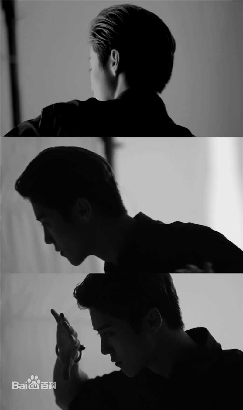 鹿晗(LUHAN) X Cartier 时尚大片素颜照相册