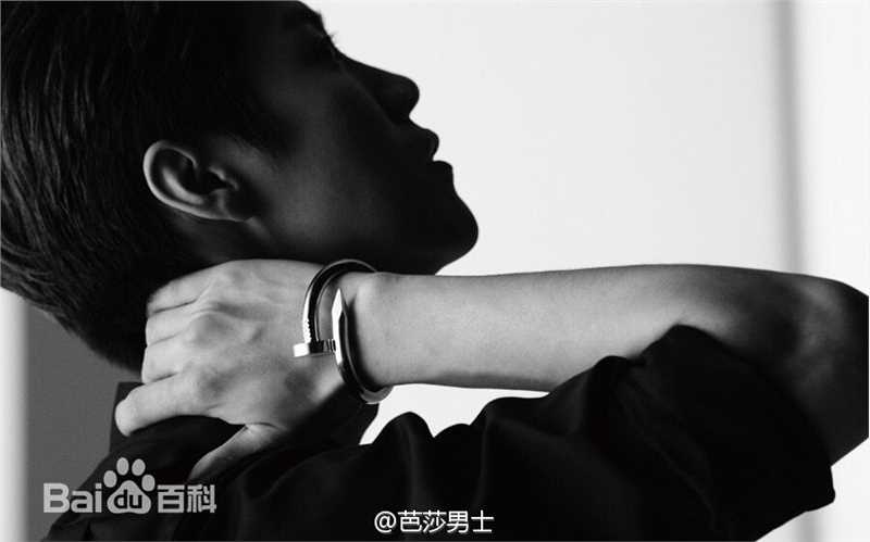 鹿晗(LUHAN) X Cartier 时尚大片素颜照相册