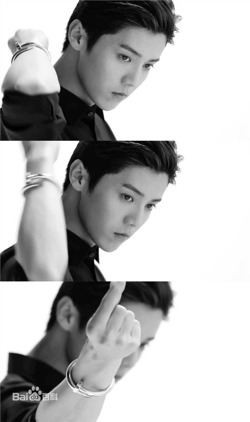 鹿晗(LUHAN) X Cartier 时尚大片素颜照相册