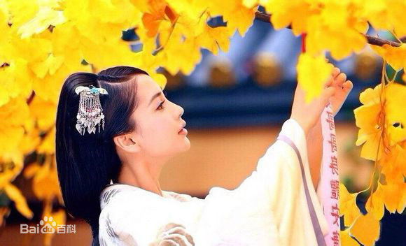 最新杨颖(Angelababy)在《大汉情缘之云中歌》云歌中的壁纸