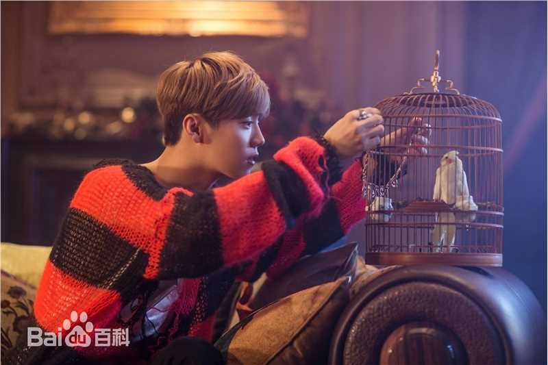 鹿晗(LUHAN) X 蜷川实花性感图片图集