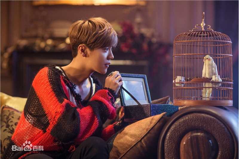 鹿晗(LUHAN) X 蜷川实花性感图片图集