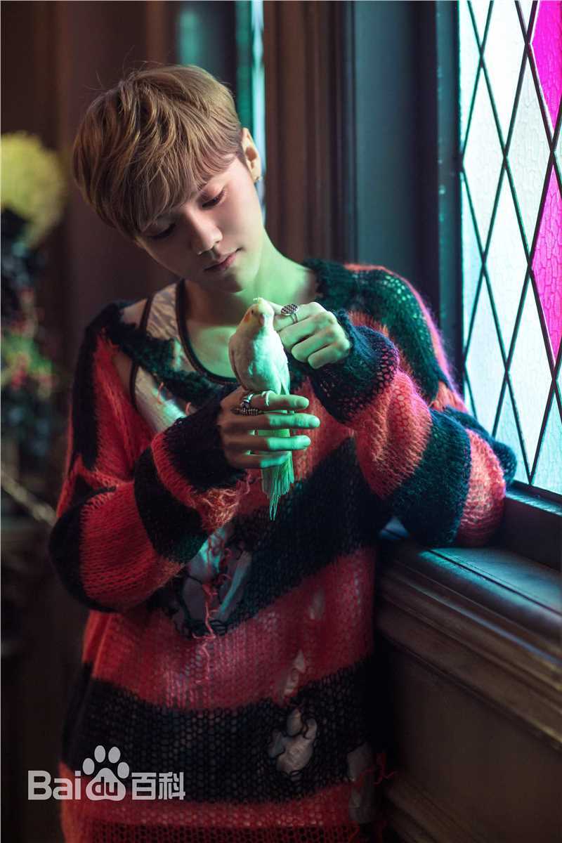 鹿晗(LUHAN) X 蜷川实花性感图片图集