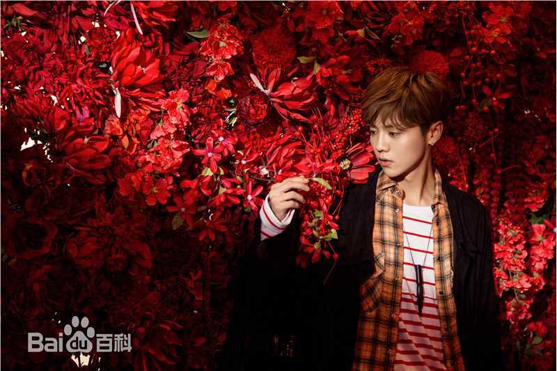 鹿晗(LUHAN) X 蜷川实花性感图片图集