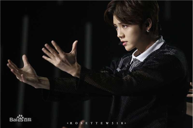 鹿晗(LUHAN)舞台照图册