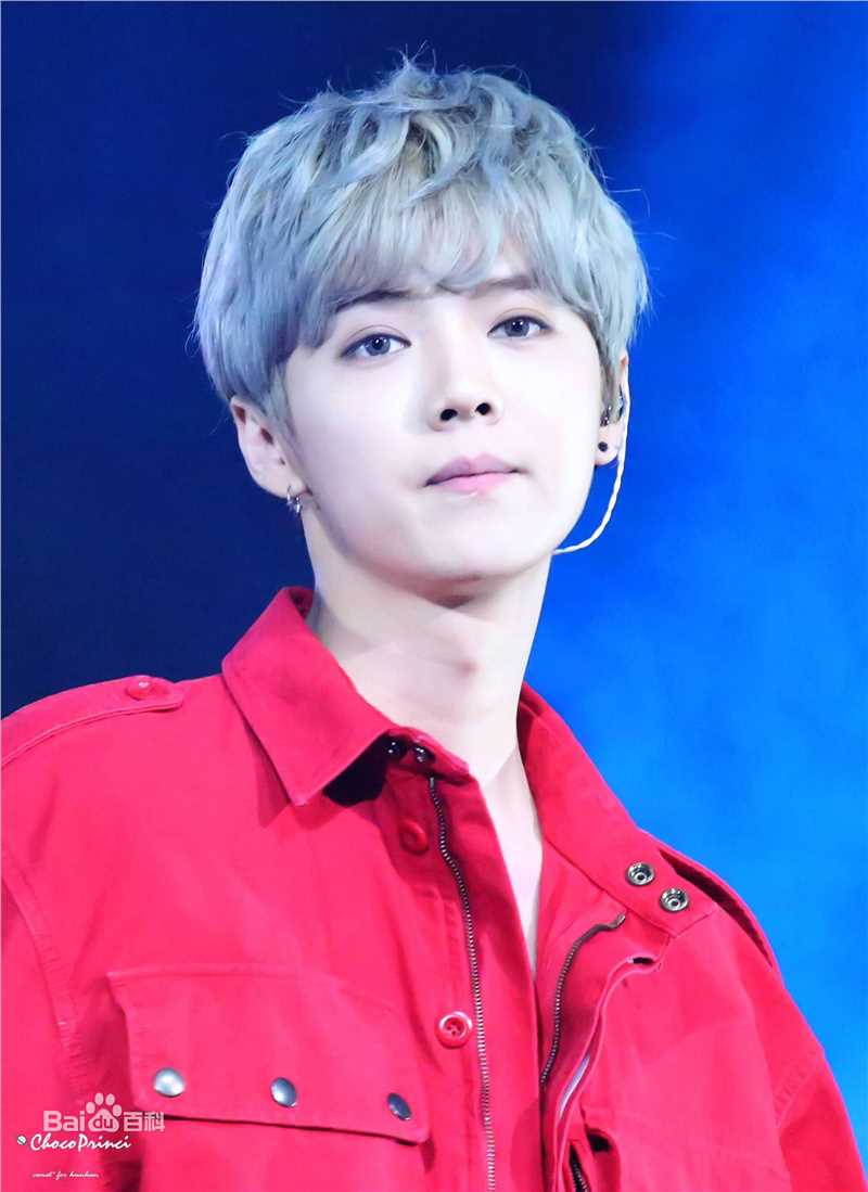 鹿晗(LUHAN)舞台照图册