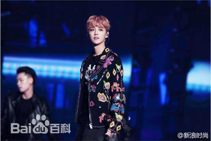 鹿晗(LUHAN)舞台照图册