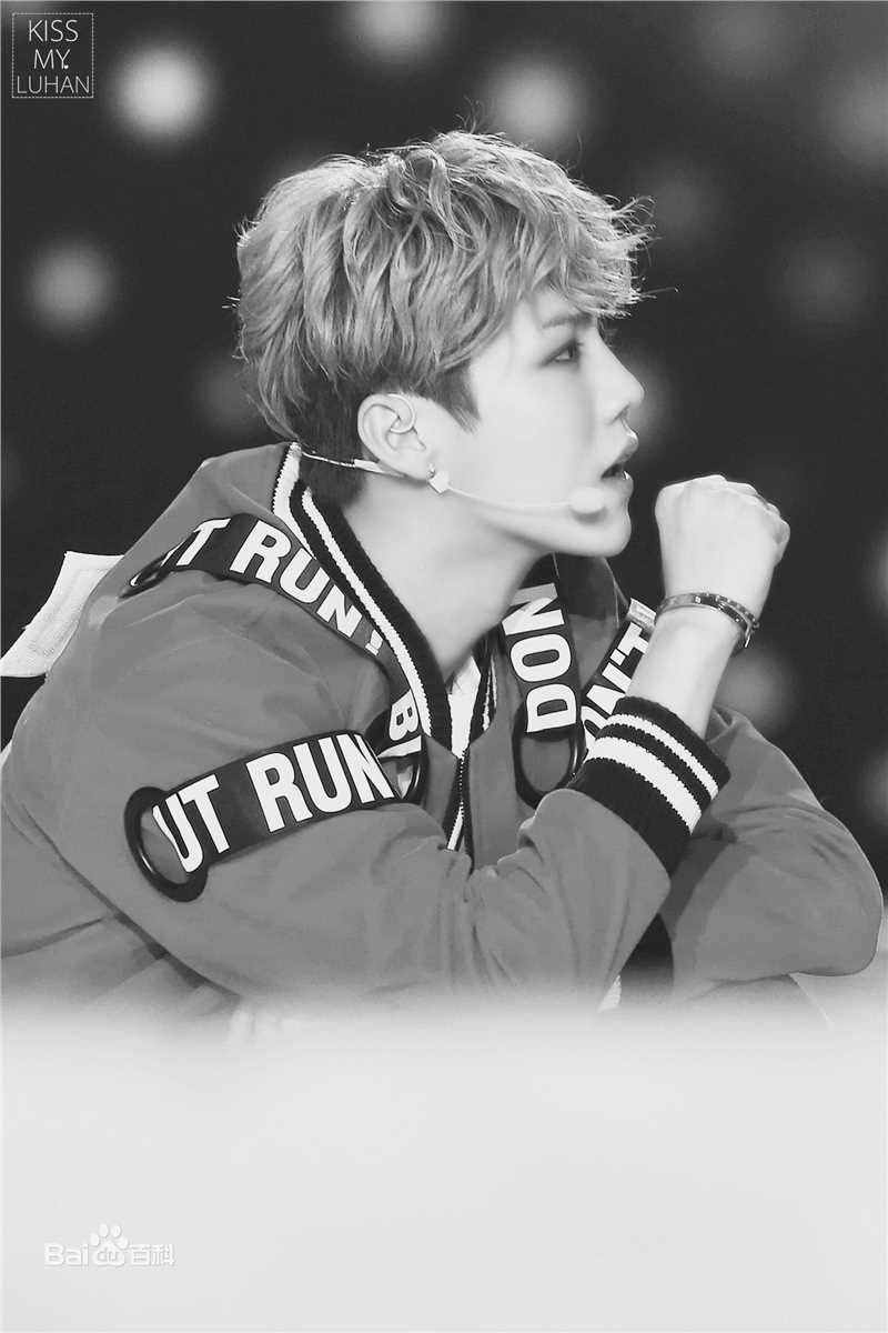 鹿晗(LUHAN)舞台照图册