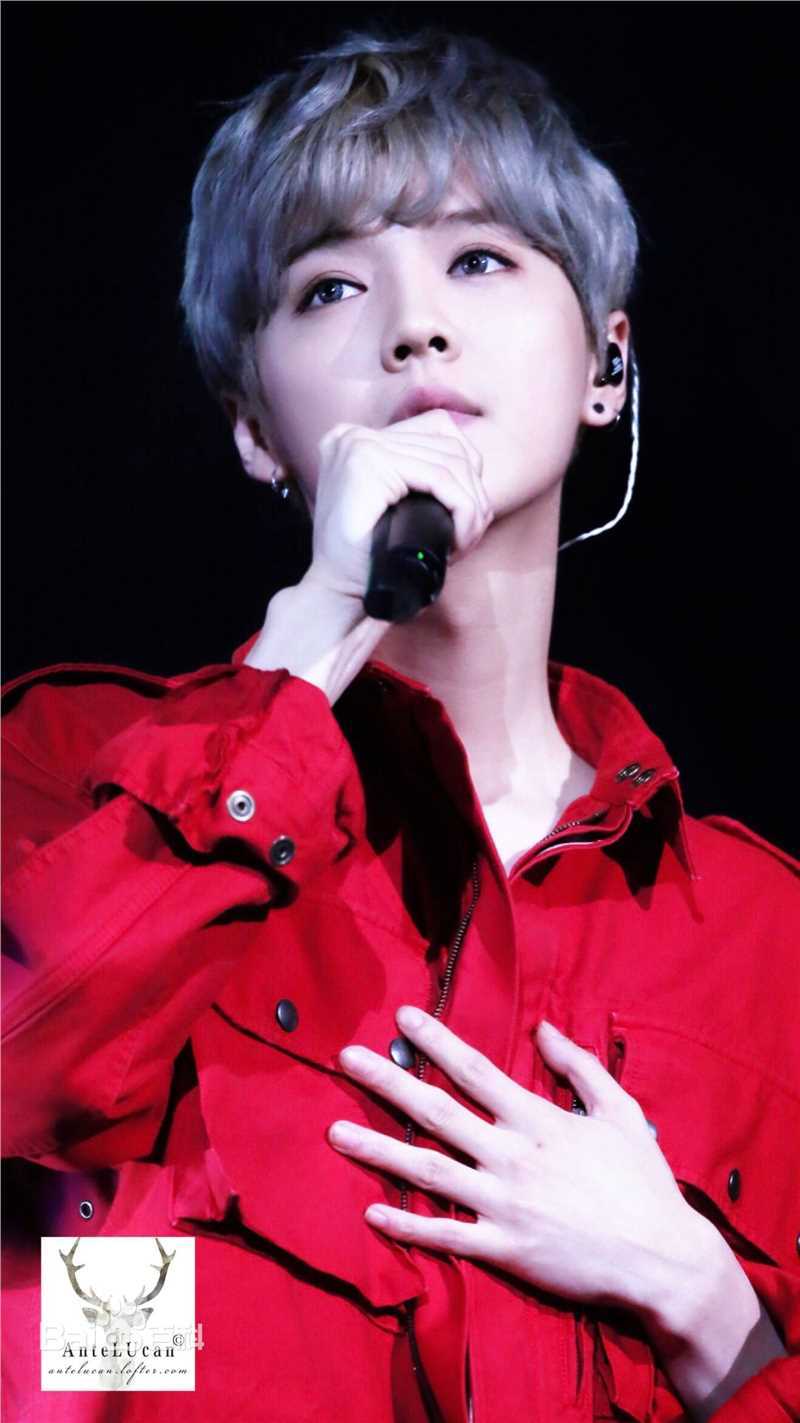 鹿晗(LUHAN)舞台照图册