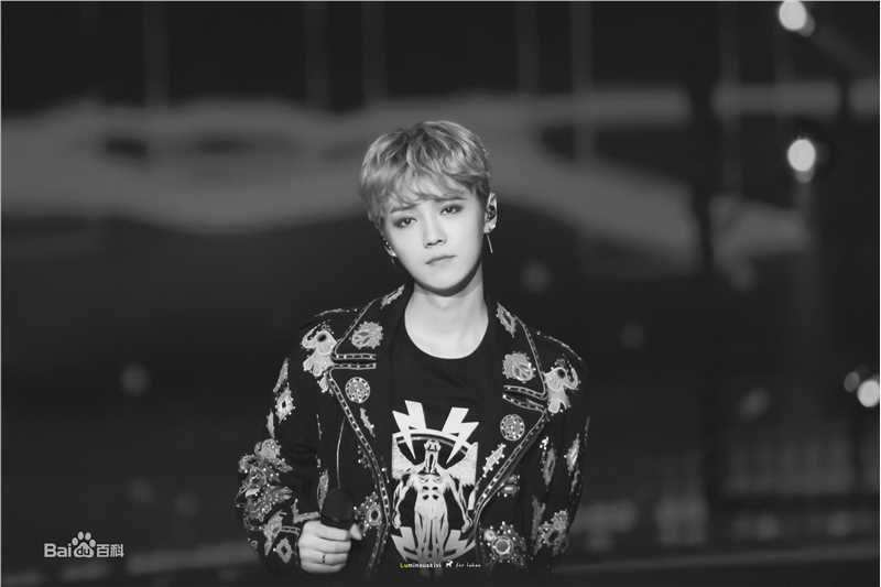 鹿晗(LUHAN)舞台照图册