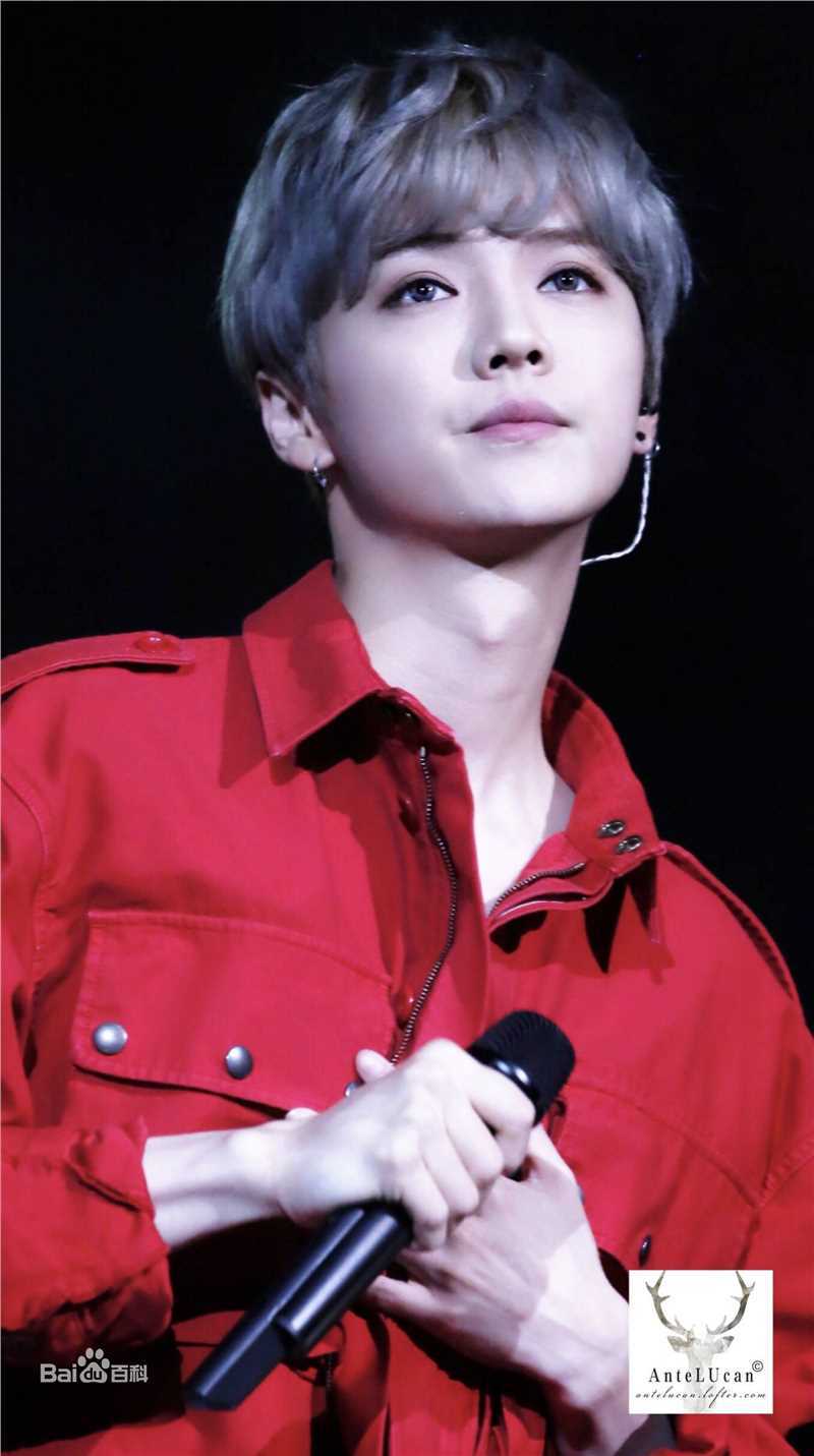 鹿晗(LUHAN)舞台照图册