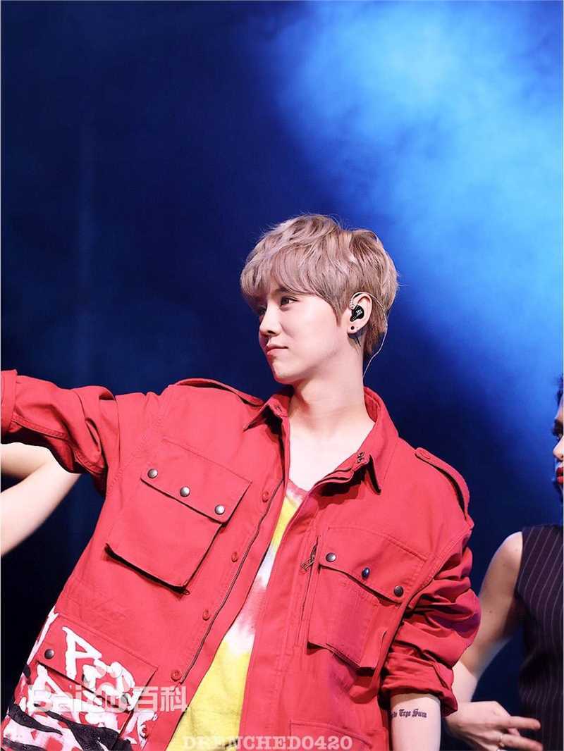 鹿晗(LUHAN)舞台照图册