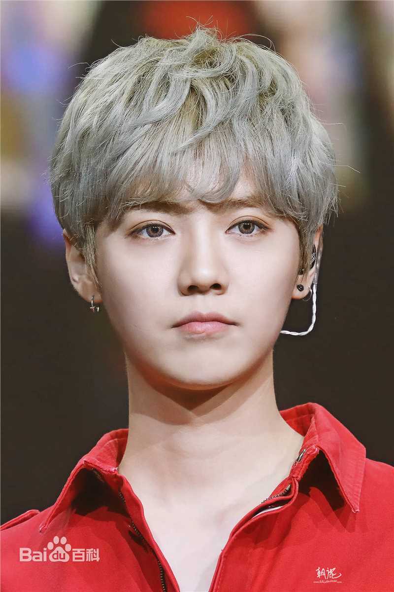 鹿晗(LUHAN)舞台照图册