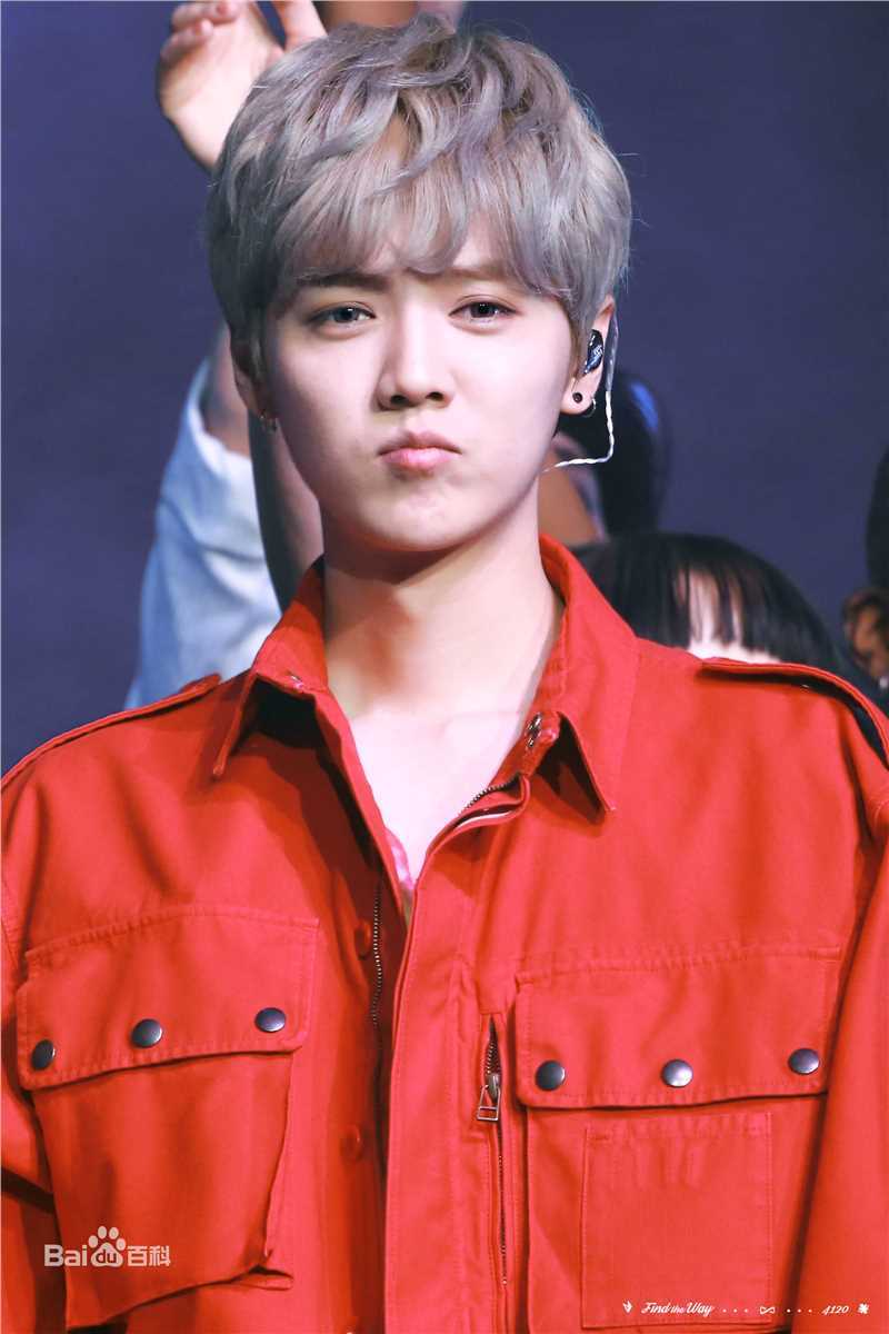 鹿晗(LUHAN)舞台照图册