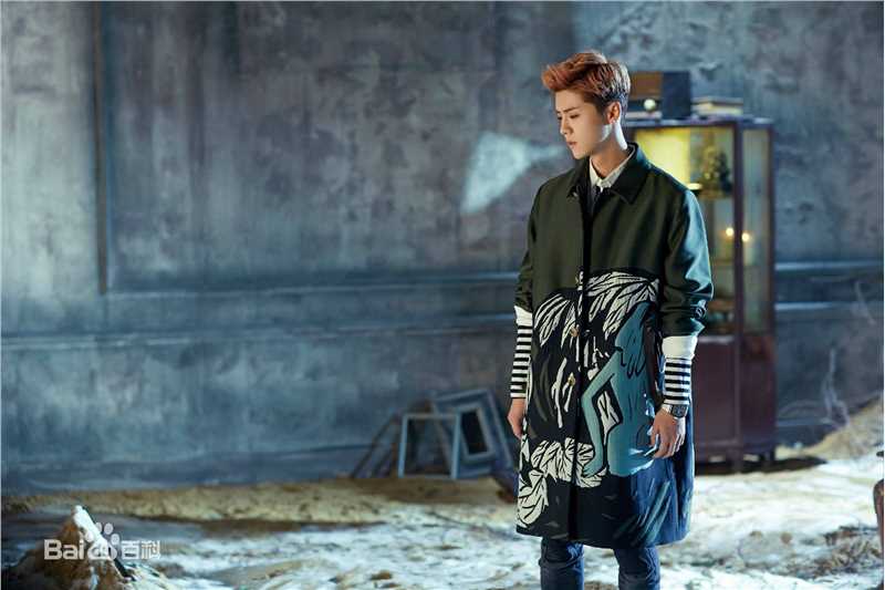 鹿晗(LUHAN)高清专辑图集