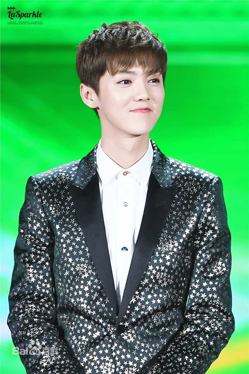 鹿晗(LUHAN)2017央视春晚壁纸壁纸