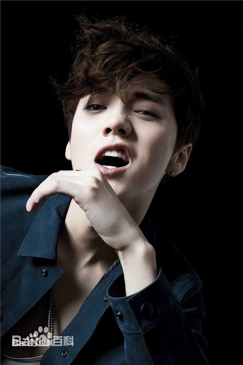 精选鹿晗(LUHAN)在《智族GQStyle》首位单封中国男星中的图册