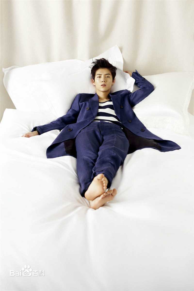 精选鹿晗(LUHAN)在《ELLE》首位单封内地男星中的图册