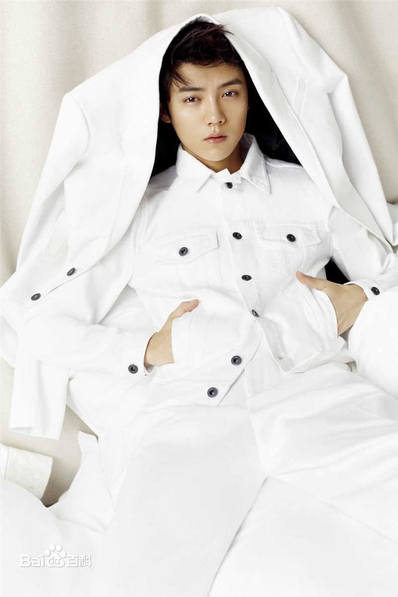 精选鹿晗(LUHAN)在《ELLE》首位单封内地男星中的图册