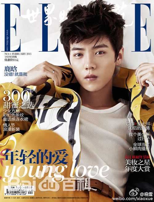 精选鹿晗(LUHAN)在《ELLE》首位单封内地男星中的图册